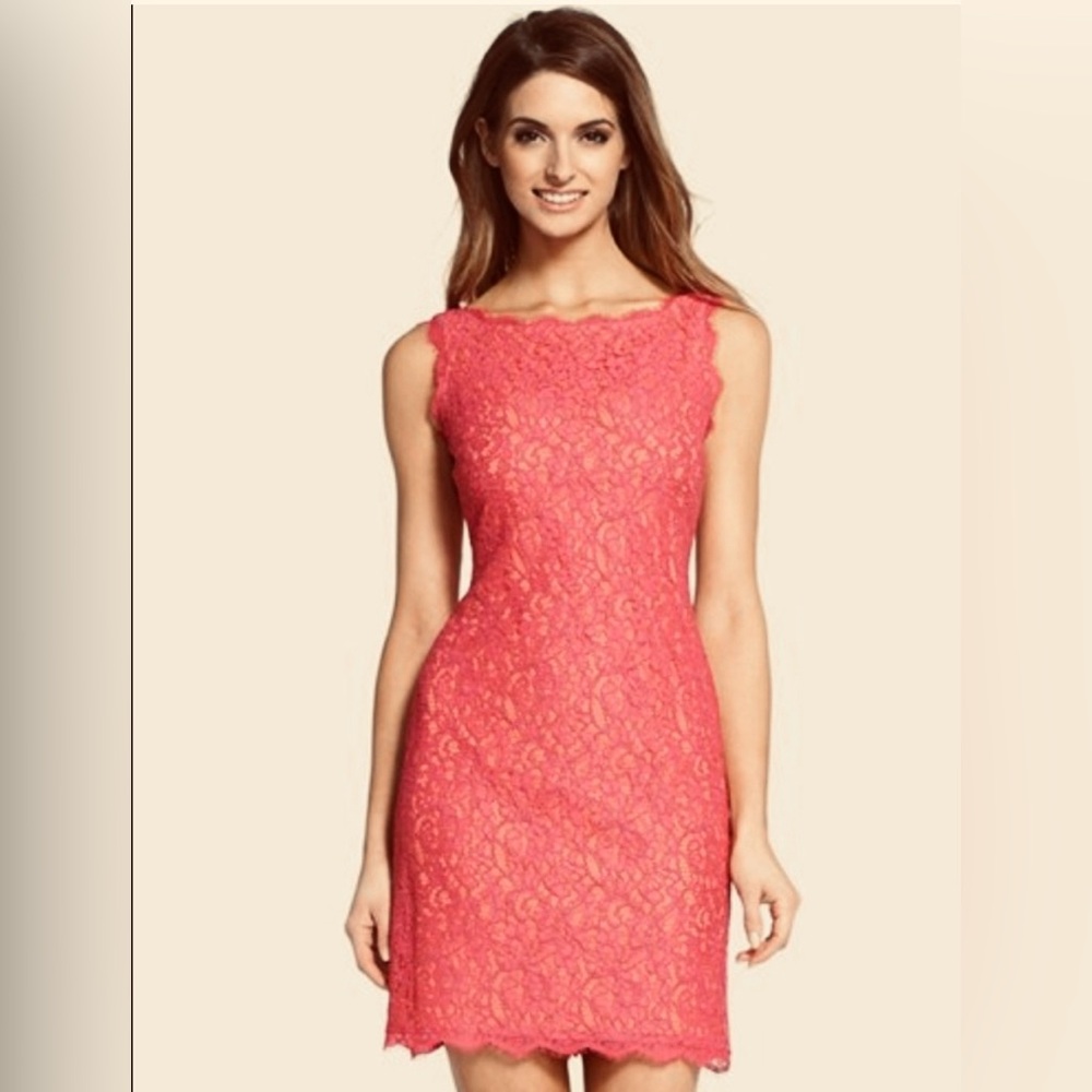 Adrianna Papell coral pink lace sheath dress (size 6)
